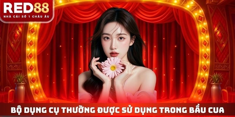 Bộ dụng cụ thường được sử dụng trong game bầu cua