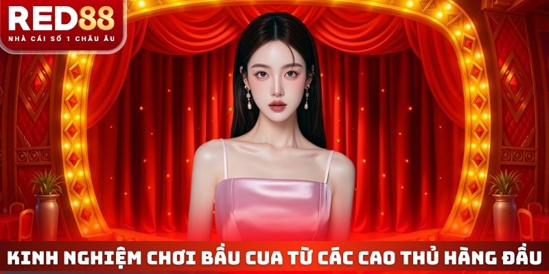 Kinh nghiệm chơi bầu cua từ các cao thủ hàng đầu hiện nay