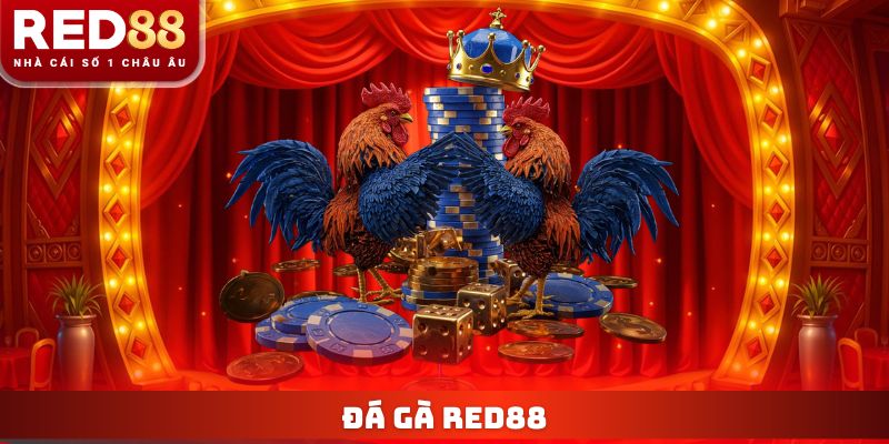 Đá gà Red88