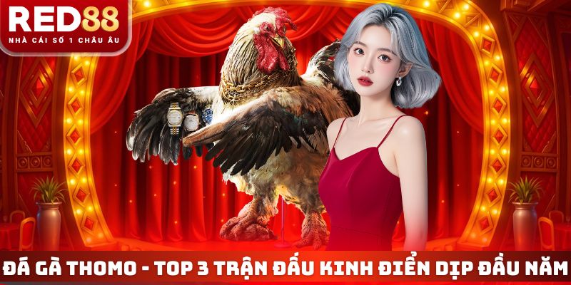 Đá Gà Thomo