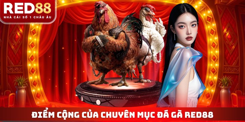 Điểm cộng của chuyên mục đá gà RED88