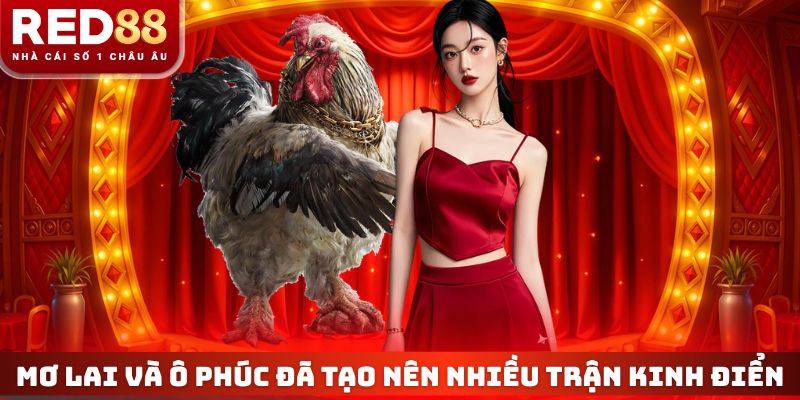 Mơ Lai và Ô Phúc đã tạo nên nhiều trận kinh điển