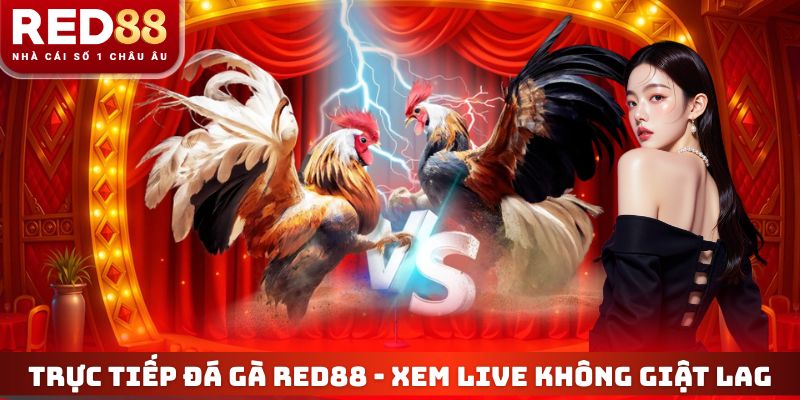 Trực Tiếp Đá Gà