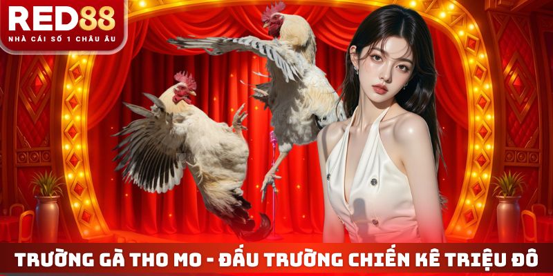 Trường Gà Tho Mo
