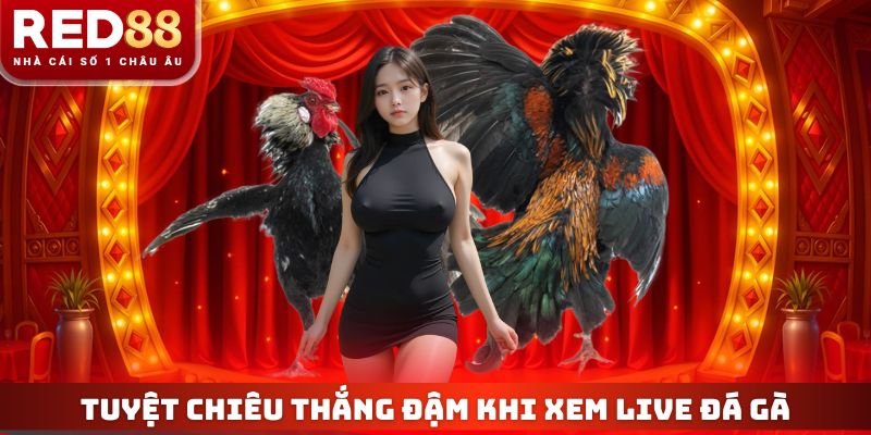 Tuyệt chiêu thắng đậm khi xem live đá gà